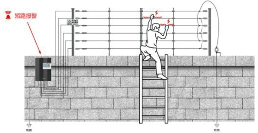 64355f5fe8a3a.png image.png