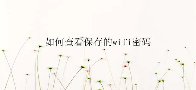 如何查看保存的wifi密码