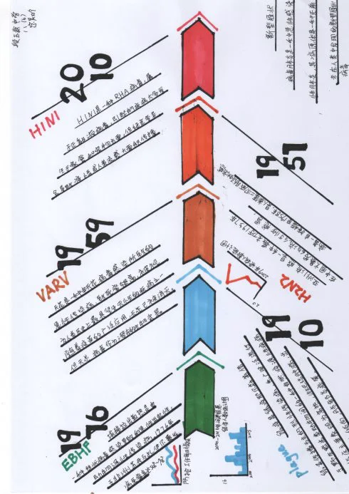 八（6）班 宗昊晗