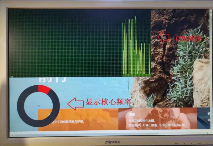 显示效果